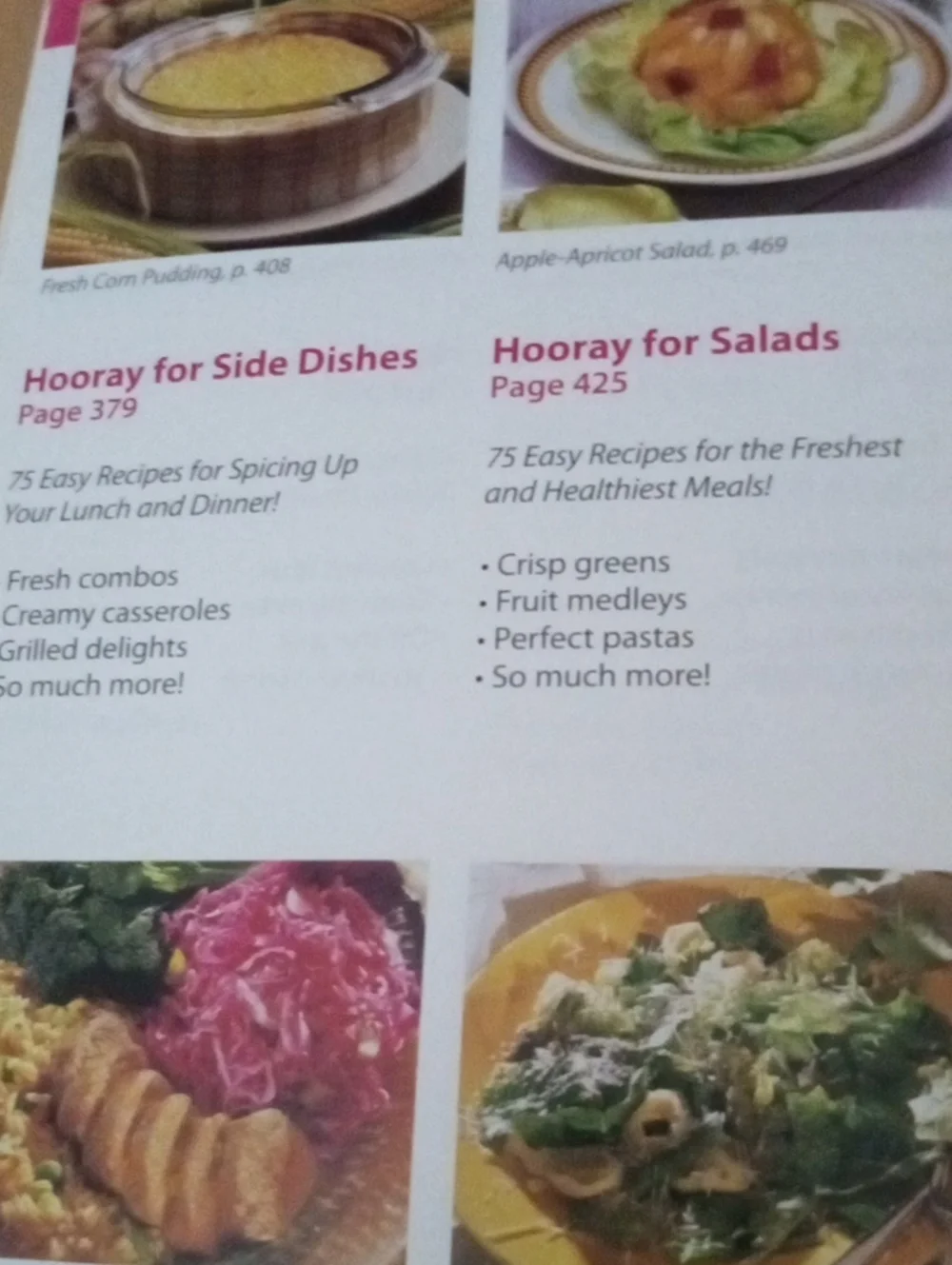 COOKBOOK: Family Living Our Best Cookbook Collection 28 Recipes